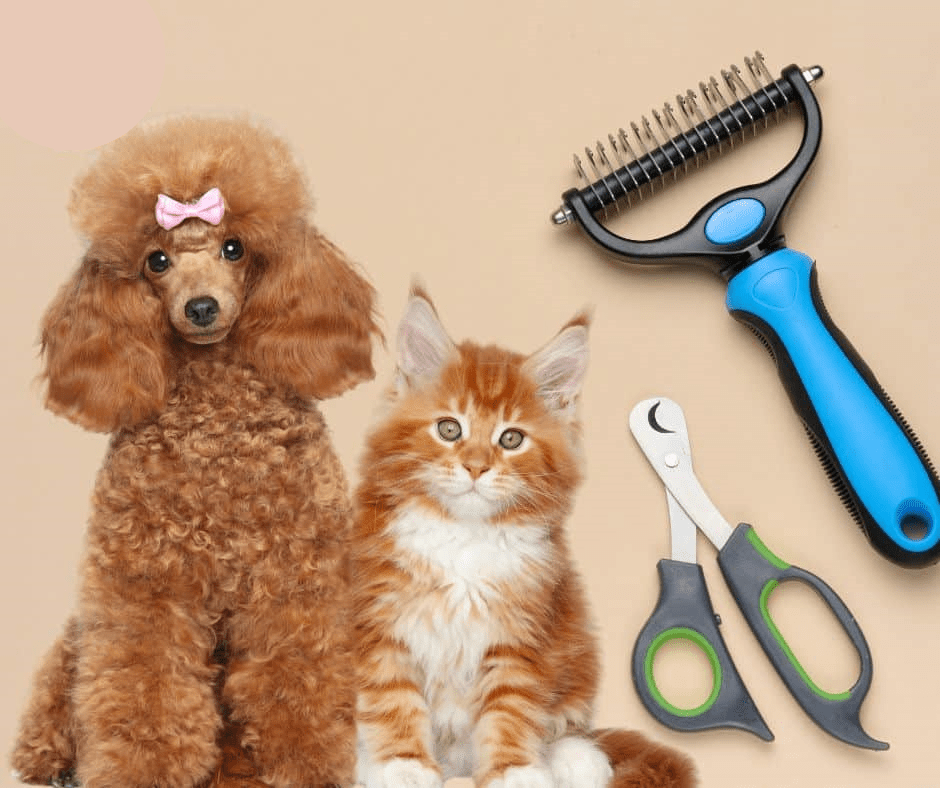 Grooming & Care