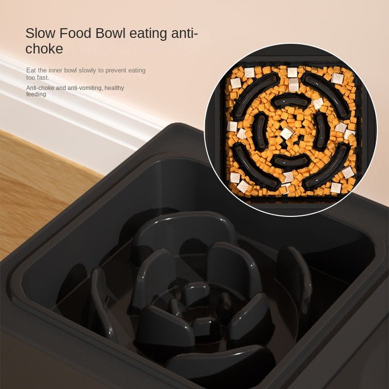 Adjustable Dog Feeder – Double Bowls for Easy Mealtime Comfort