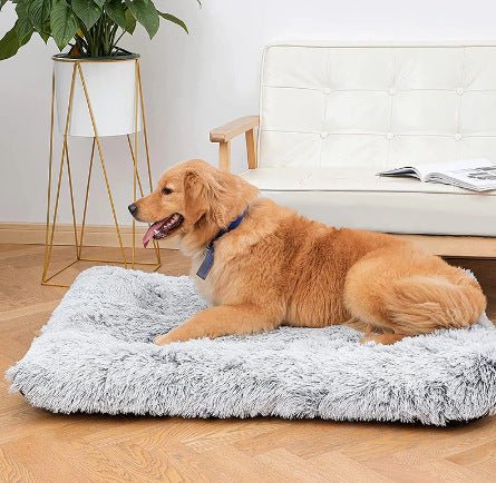 Plush Memory Foam Dog Sofa – Sweet Dreams Every Night