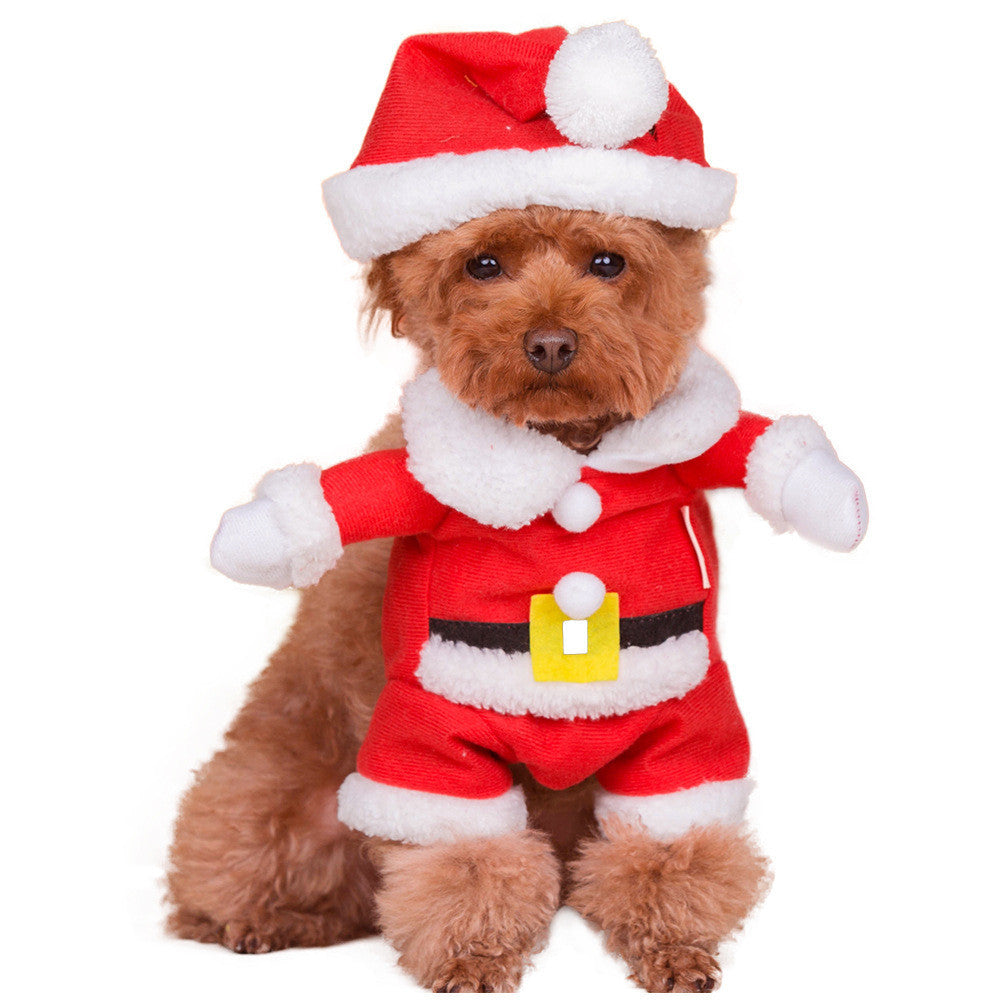Santa Claus pet costume on small dog