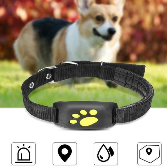 GPS Dog & Cat Tracker – Adventure Without Worry