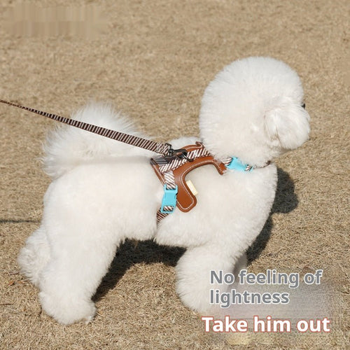 adjustable anti loose harness on dog