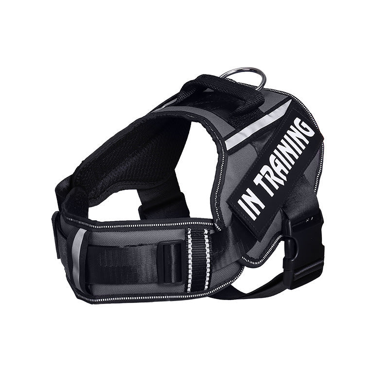 🐾 GlowLeash™ Reflective Dog Leash
