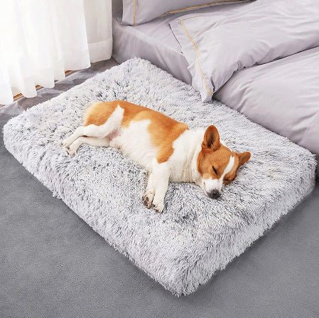 Plush Memory Foam Dog Sofa – Sweet Dreams Every Night