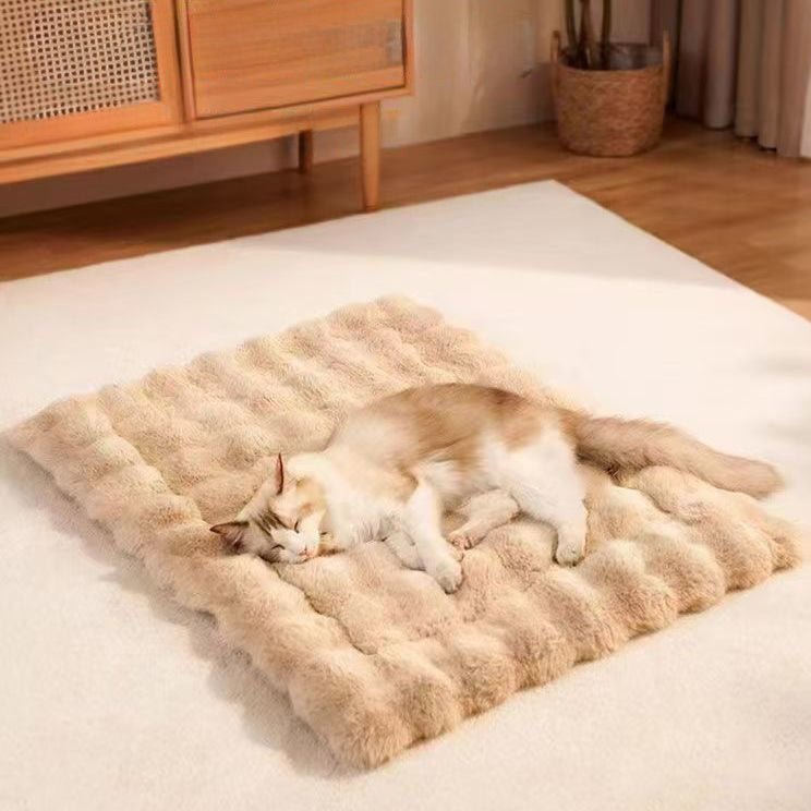 Cozy Cat Bed Cushion – Perfect Naps for Cats & Dogs