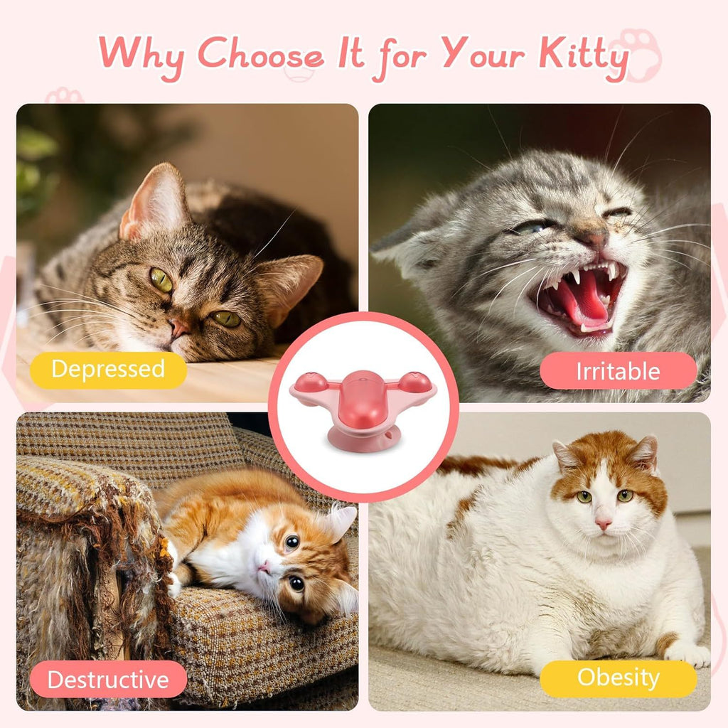 Interactive Pet Puzzle Feeder – Fun Slow Feeding for Cats