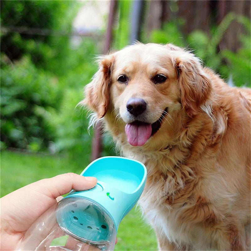 Outdoor Pet Water Cup – Easy Hydration for Walks & Travel