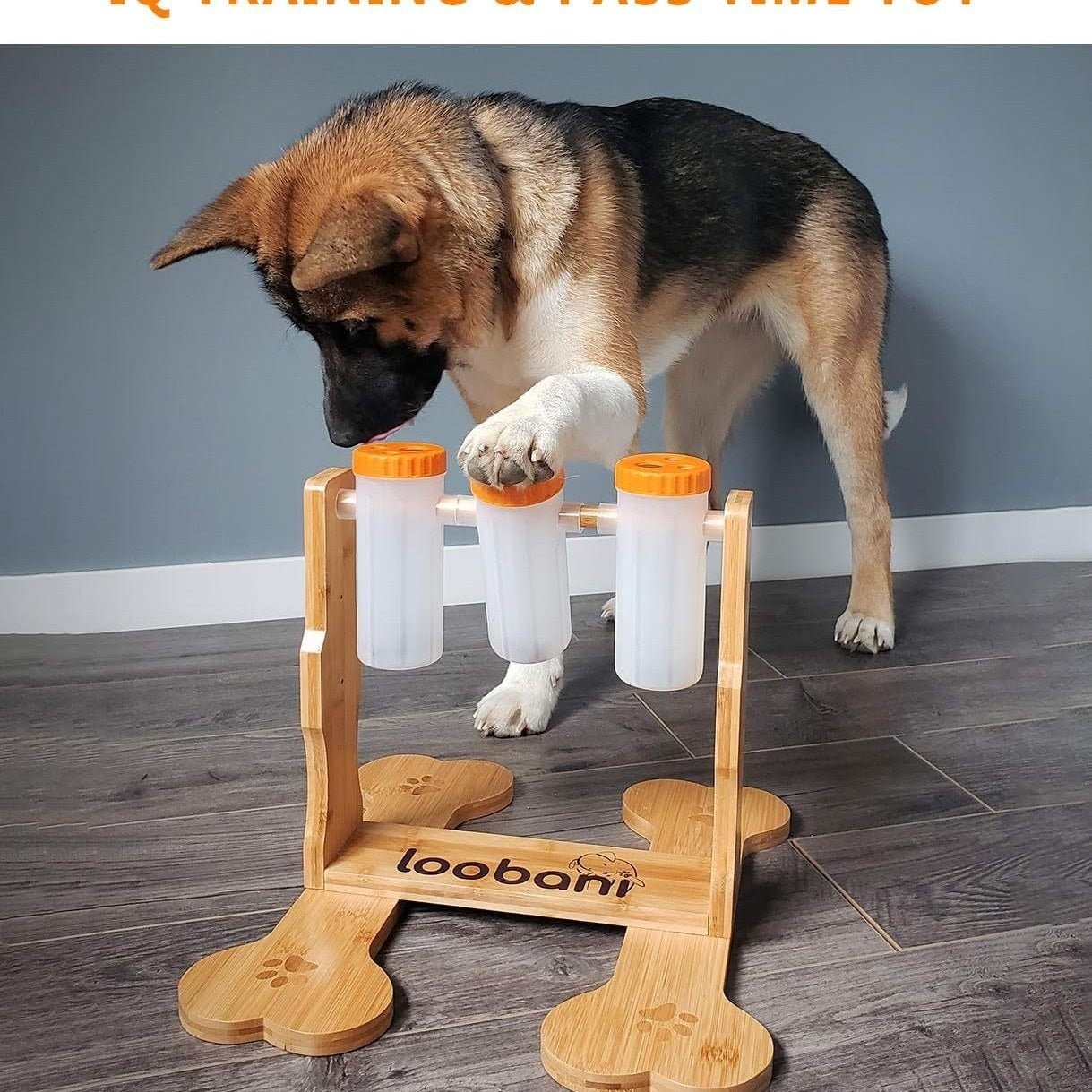 Interactive Dog Puzzle Toy – Fun Snacks and Play Combined