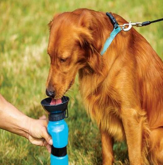 Portable Dog Water Bottle – Fresh Hydration Anywhere You Go