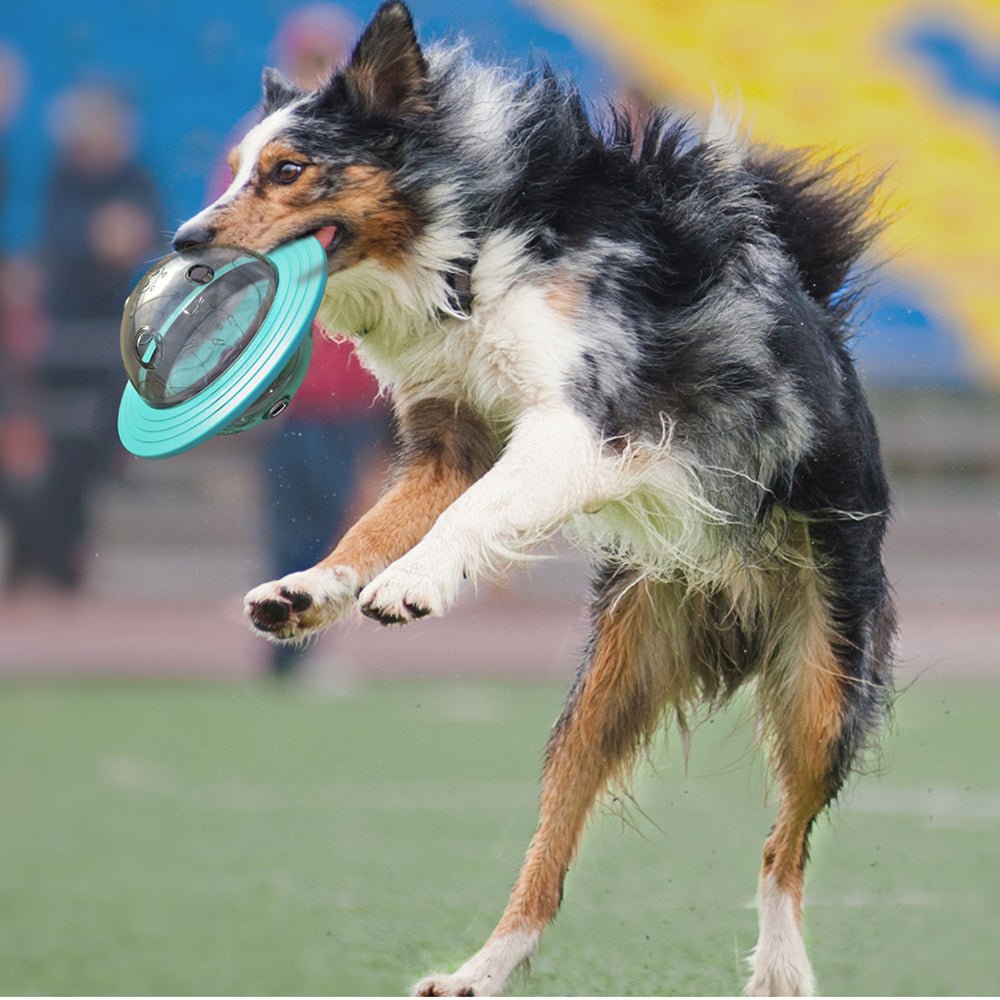 Interactive Treat Ball – Slow Feeder & IQ Training Toy 🐶🐾