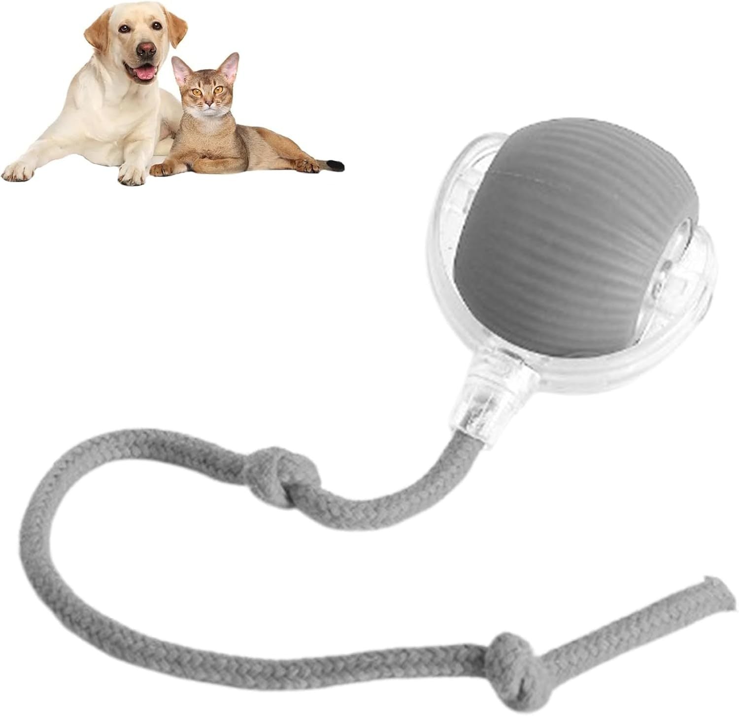 Smart Rolling Pet Ball – Interactive Toy for Dogs & Cats