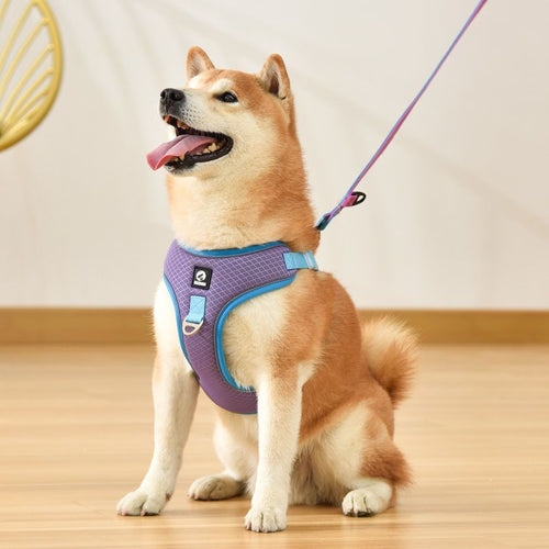 adjustable breathable dog harness for puppies