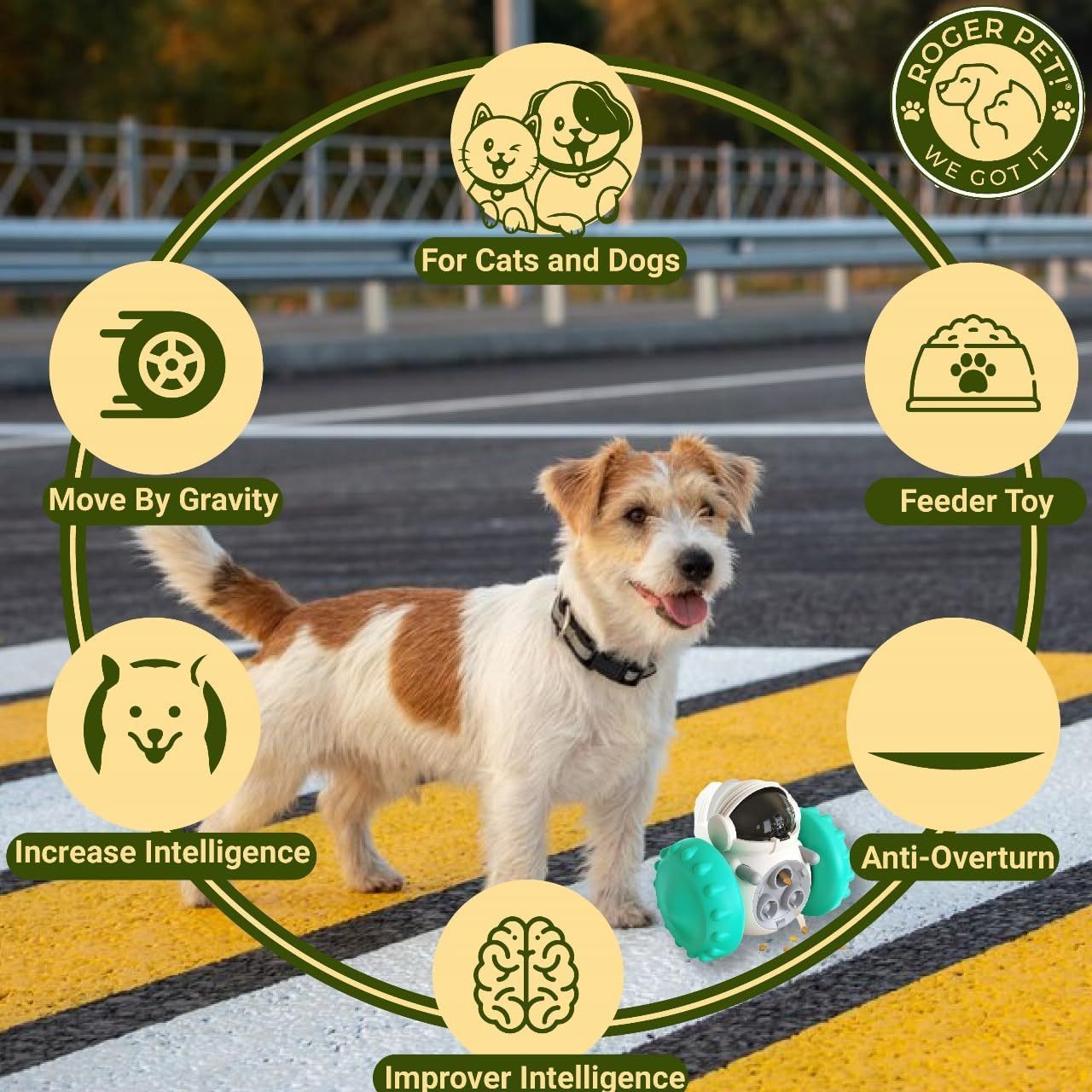 Interactive Treat Dispenser Toy – For Dogs & Cats 🐶🐱