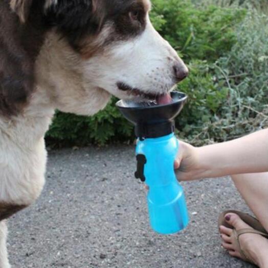 Portable Dog Water Bottle – Fresh Hydration Anywhere You Go