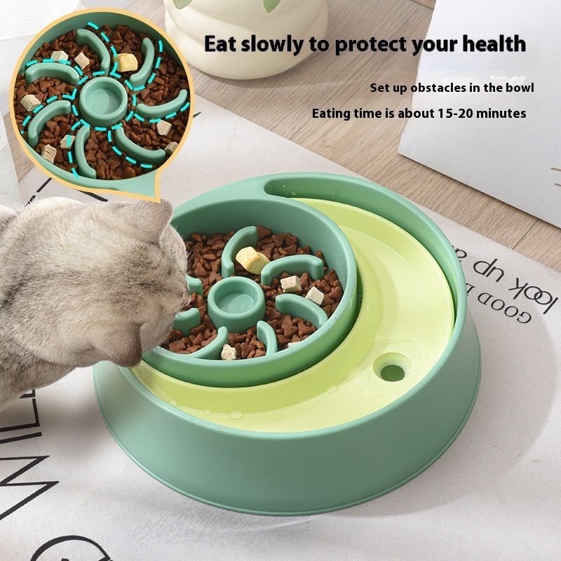 🐾DuoFeeder™ - 2-in-1 Cat Bowl - Amigo Pet Boutique