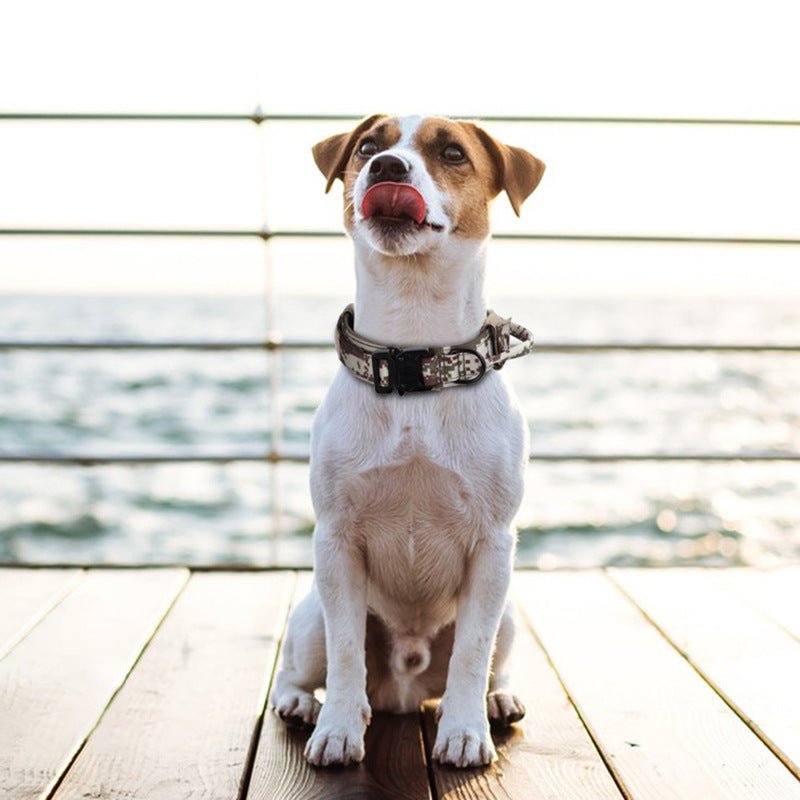 🐾 K9Tact™ Tactical Dog Collar & Leash Set