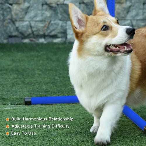 Adjustable Dog Jump Poles – Boost Fitness and Playtime Fun