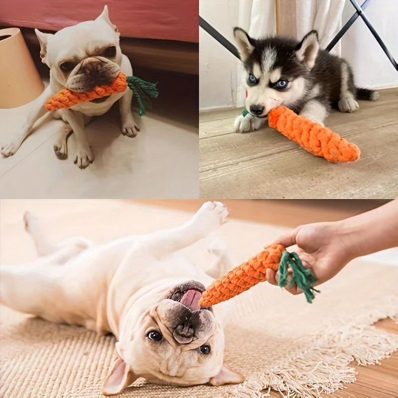 🐾 SteamGroom™ Pet Massage Comb