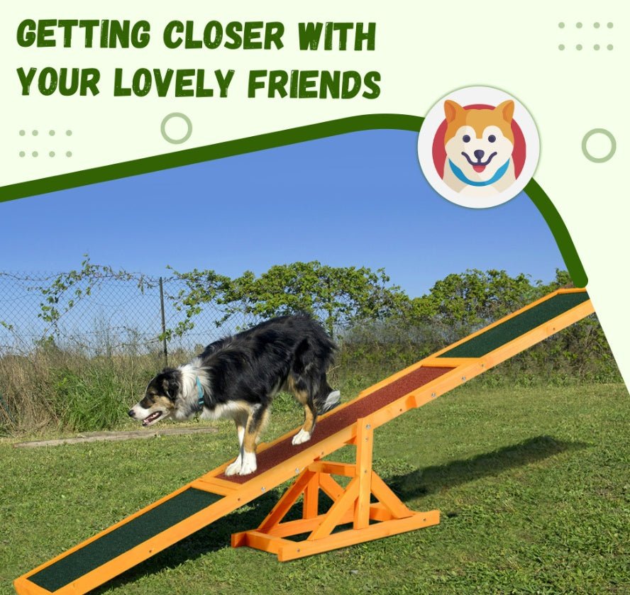 Wooden Dog Seesaw – Fun Training and Exercise for Dogs