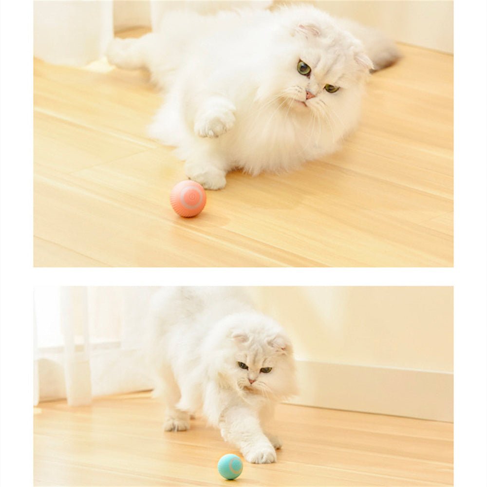 Smart Cat Rolling Ball – Automatic Teaser Toy 🐱🎾